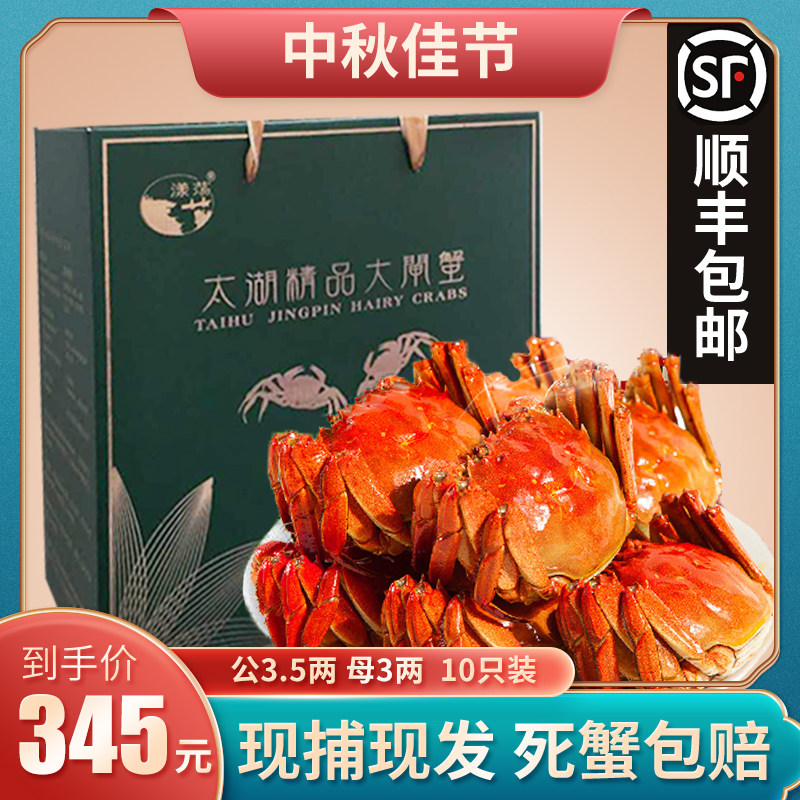 漾荡太湖大闸蟹母蟹3.5两公蟹大闸蟹