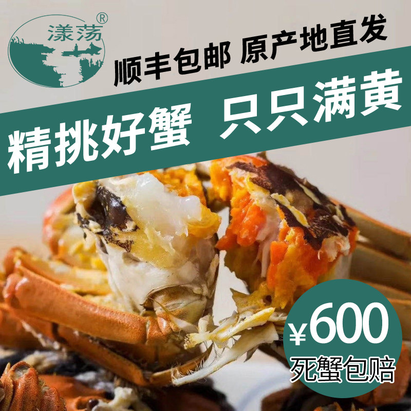 漾荡太湖大闸蟹10只鲜活螃蟹公大闸蟹