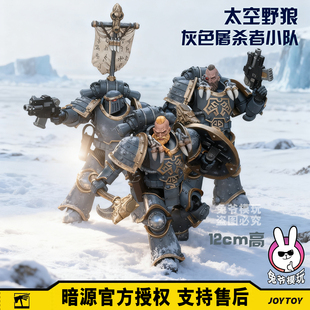 暗源战锤40k太空野狼 屠杀者JOYTOY星际战士1:18可动兵人手办模型