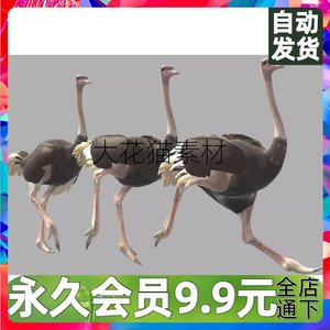 unity3D Ostrich鸵鸟模型