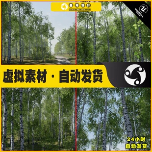 UE4虚幻5 Trees Birch Tree 森林树木桦树树林环境场景植物道具