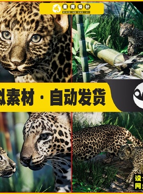 UE4UE5 Animalia - Leopard (young) 小猎豹虚拟设计模型4.27 5.4