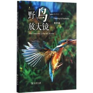 野鸟放大镜自然科学 新华书店 生物学9787100123761