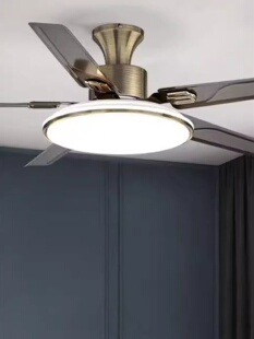 北欧吊扇灯大风力吸顶风扇灯不锈钢餐厅客厅现代简约铁叶电扇吊灯