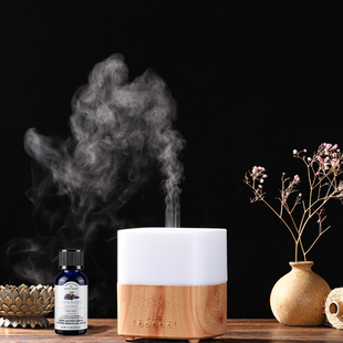 luluspirit蓝牙加湿器香薰机卧室精油香薰灯智能音响喷雾熏香礼物