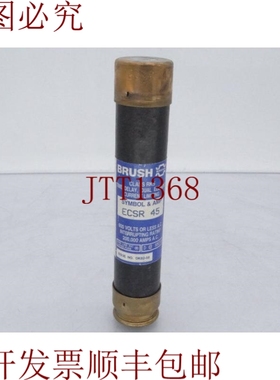原装供应BRUSH 电动 ECSR45 保险丝