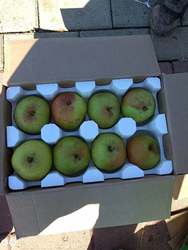 延边龙井苹果梨东北特产当季新鲜水果脆甜多汁10斤优选装果农直销