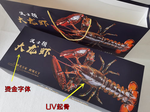 波士顿波龙大龙虾海鲜礼品盒