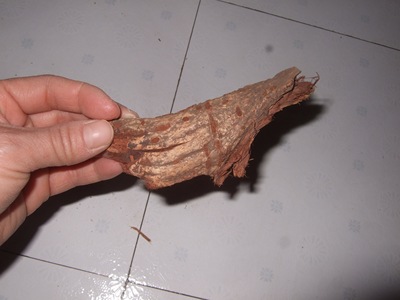 野生香椿树根皮的根50克中药材