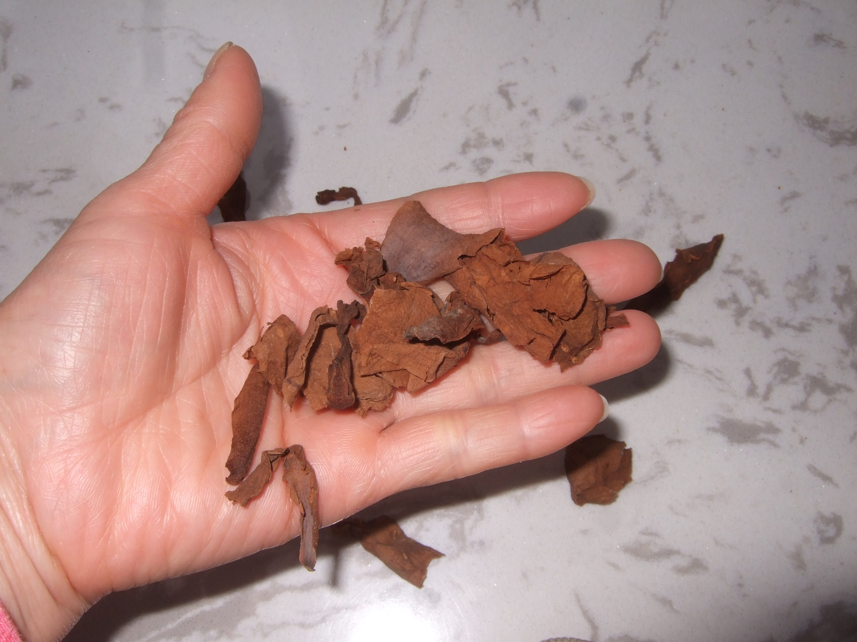 中药材 新货 白玉兰花干花 玉兰花瓣 广玉兰花朵 500克包邮 食用