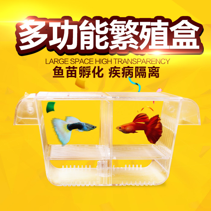 热带观赏孔雀鱼多功能鱼缸小鱼苗隔离繁殖孵化悬浮盒斗鱼盒