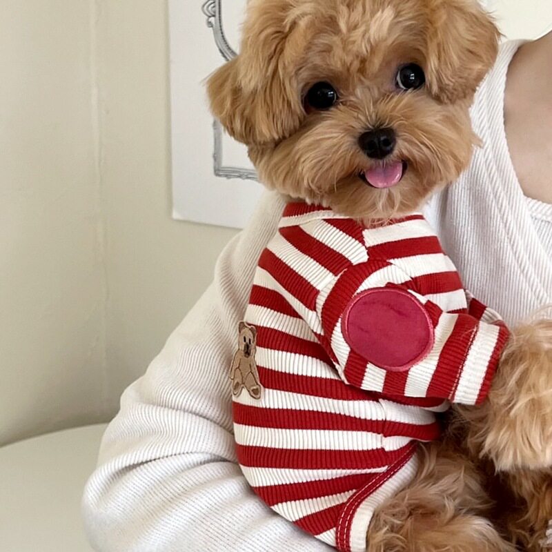 小猫小狗秋天连体衣卫衣外套防脏
