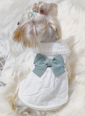 宠杏里秋冬狗狗衣服薄款加绒洛丽塔公主裙约克夏小型犬猫宠物服饰