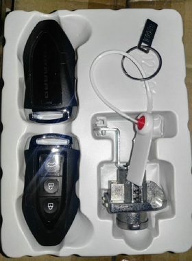 长丰猎豹CS10 全车锁带遥控器