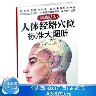 人体经络穴位标准大图册 清晰版 人体经络穴位易学速查书 经络穴位定位 常见病穴位配伍书  经络穴位按摩教程书 中医书籍
