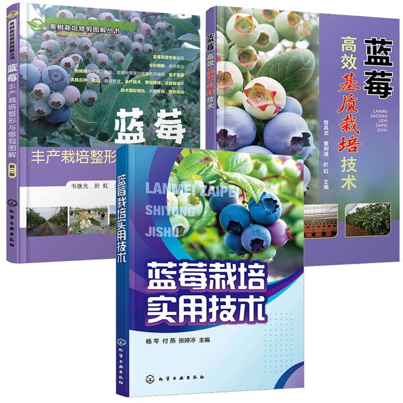 蓝莓高效基质栽培技术+蓝莓丰产栽培整形与修剪图解 第二版+蓝莓栽培实用技术 3本图书籍