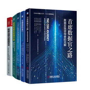 穿越数据 席数据官之路 迷宫书籍 席数据官管理手册 见解 DAMA数据管理知识体系指南 数据治理与数据 数据实践领导者