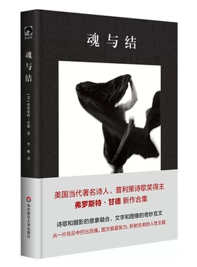 魂与结 独角兽文库 弗罗斯 甘德 华东师范大学出版社9787576048650预售