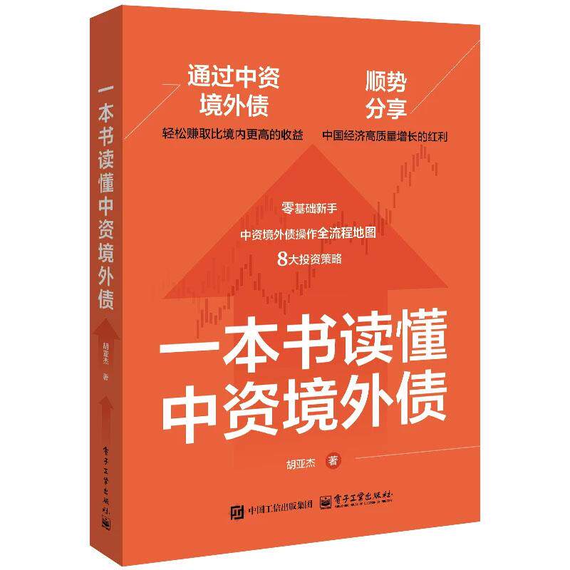 一本书读懂中资境外债 胡亚杰 电子工业出版社9787121528316