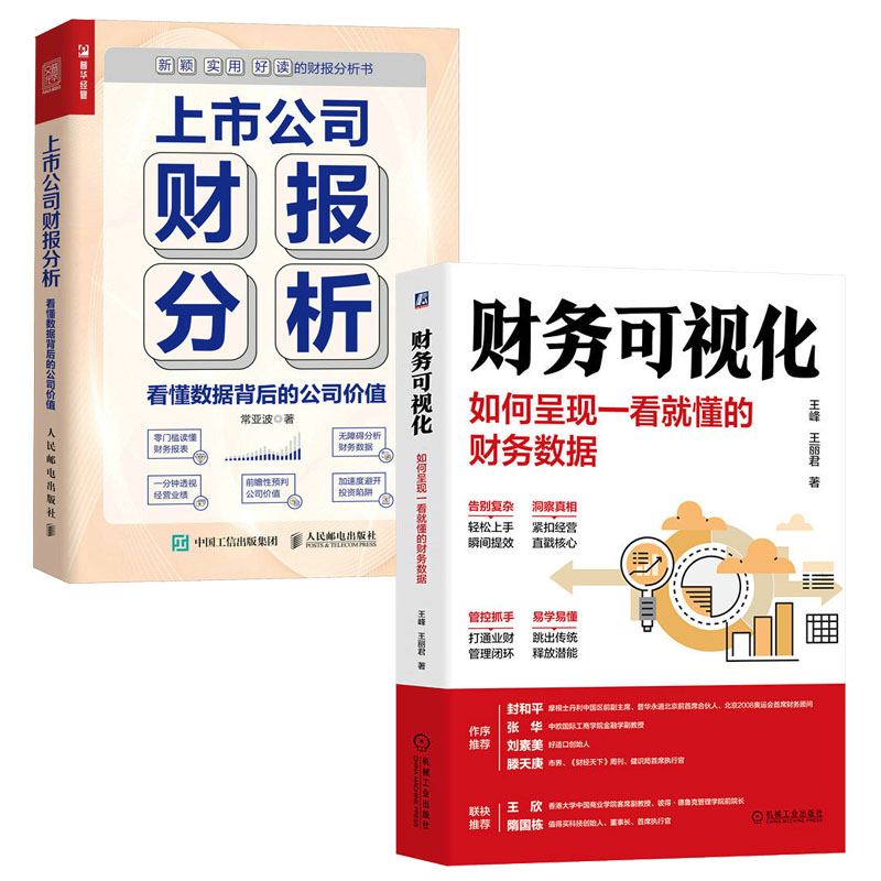 财务可视化如何呈现一看就懂的财务数据王峰王丽君+上市公司财报分析书籍