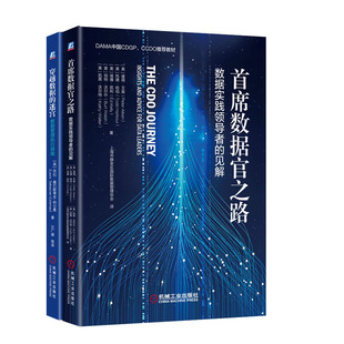 穿越数据 席数据官之路 见解 数据管理执行指南书籍 数据实践领导者 迷宫