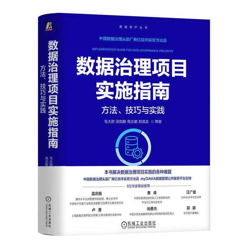 数据治理项目实施指南 方法 技巧与实践 毛大群 汤贺静 高志鹏 郑渤龙 等 机械工业出版社9787111794066