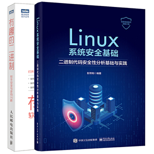 有趣 Linux系统基础 性分析基础与实践 软件与逆向分析 二进制代码 二进制