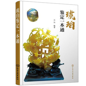 琥珀鉴定琥珀鉴定基础知识书 作假手段鉴定方法 琥珀仿制品鉴别工具精密仪器法 琥珀选购指南 购买收藏鉴赏投资图书籍