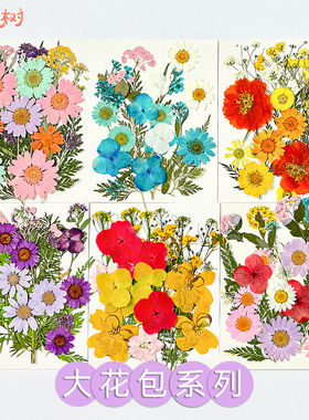 儿童手工diy材料包压花真花