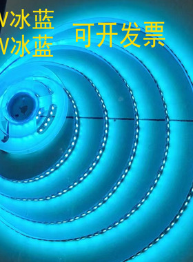 LED灯带 12V冰蓝色灯条12伏24V浅湖蓝天空蓝户外套管防水汽车装饰