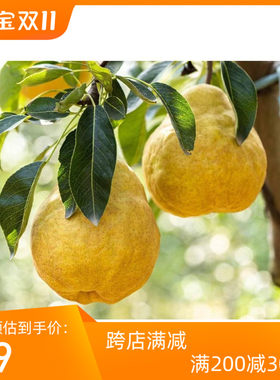 正宗莱阳丑梨甘甜软糯多汁中华丑梨皮薄核小5斤新鲜梨子水果包邮