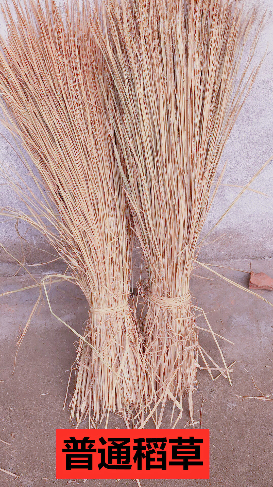 天然原始干稻草 农家乐屋顶装饰稻草帘子 草编大棚保温防寒草毡子