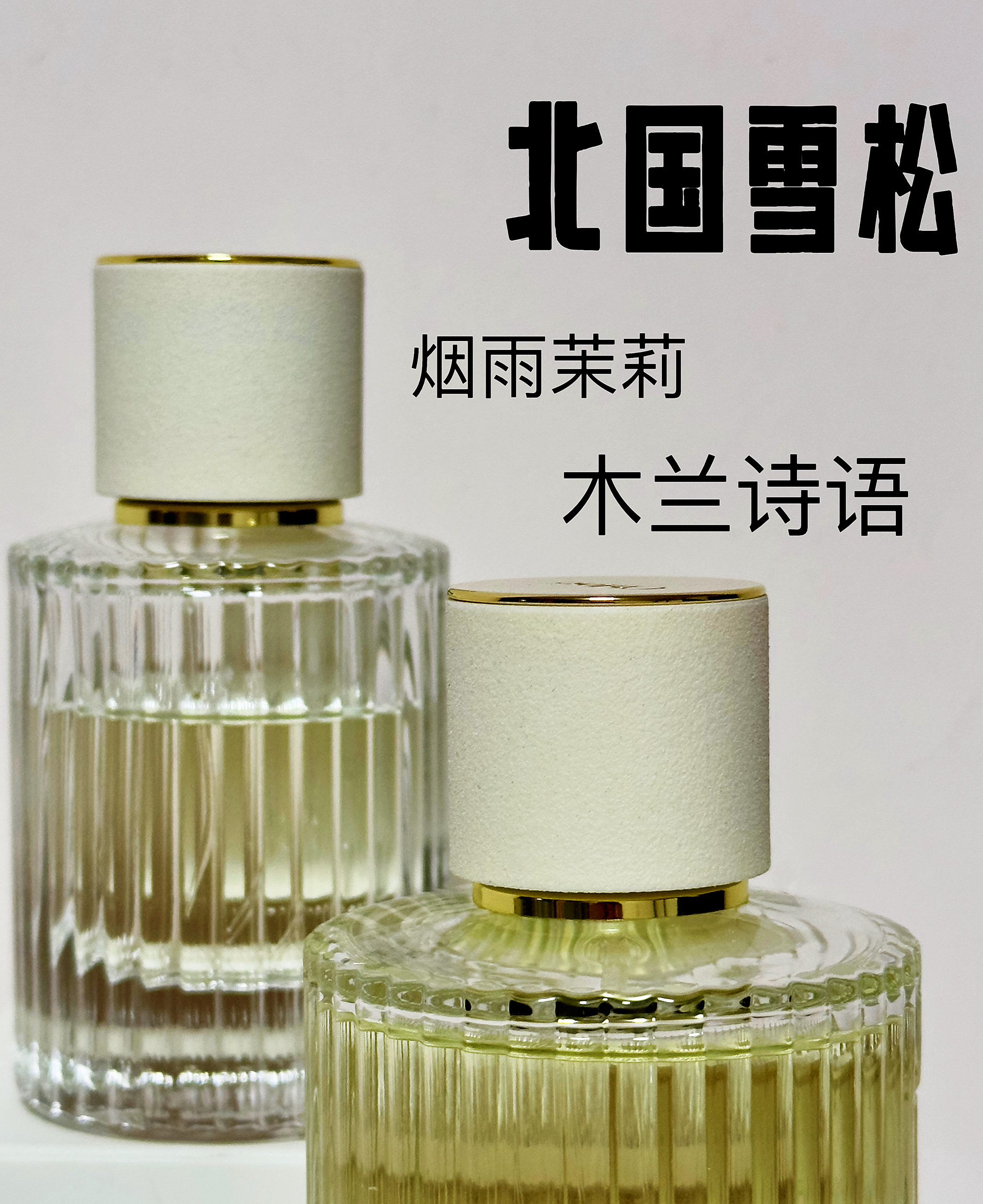 北国雪松/木兰诗语/烟雨茉莉