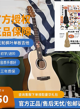 摩天轮民谣木吉他初学者