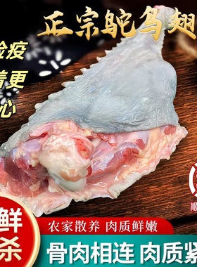 鸵鸟头鸵鸟翅中新鲜鸵鸟翅尖生鲜鸵鸟脑袋鸵鸟脖子鸵鸟肉脖子新鲜