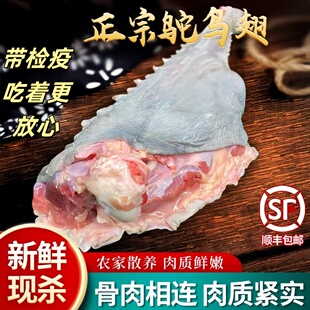 鸵鸟头鸵鸟翅中新鲜鸵鸟翅尖生鲜鸵鸟脑袋鸵鸟脖子鸵鸟肉脖子新鲜
