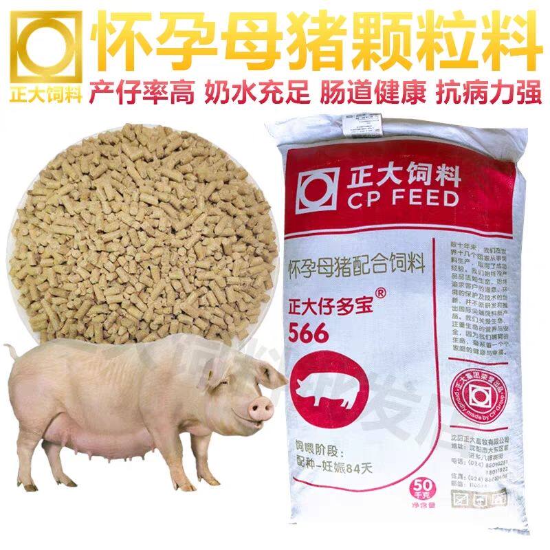 正大母猪饲料全价颗粒母猪保健套餐妊娠期1~113天母猪料包邮