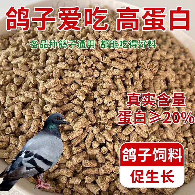 鸽子饲料优质鸽粮高蛋白高营养颗粒料厂家直销赛鸽肉鸽观赏鸽通用