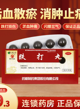 普济堂跌打丸10丸活血散瘀消肿止痛跌打损伤淤血肿痛闪腰岔气LY