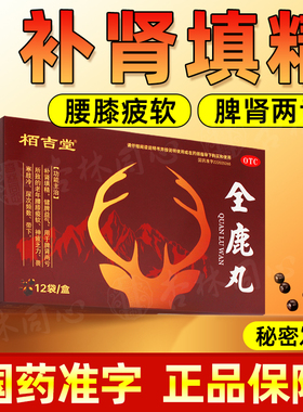 全鹿丸12袋正品健脾益气补肾填精肾虚脾肾两亏尿频尿急补肾药FC
