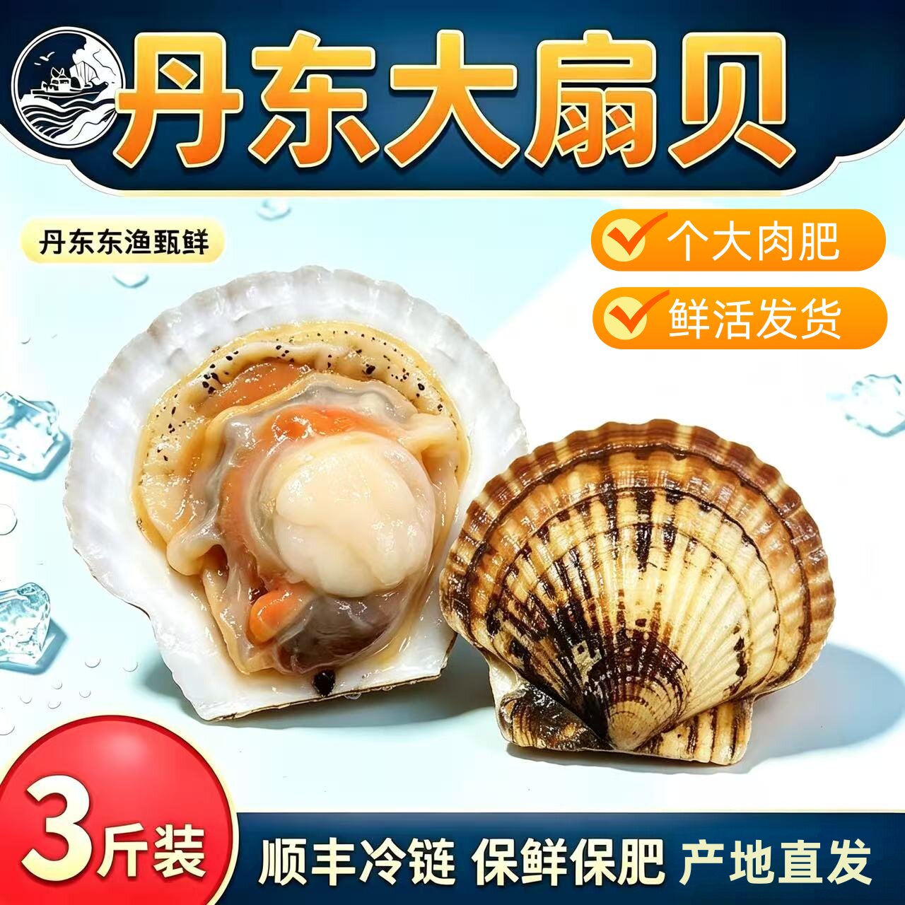 丹东扇贝鲜活夏威夷贝虾夷贝特大礼盒3斤顺丰包邮