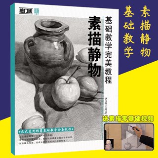 基础教学完美教程素描静物敲门砖零基础学画画素描教程课件美术绘画书儿童学画画艺考联考新书教材我的素描从入门到精通结构静物书