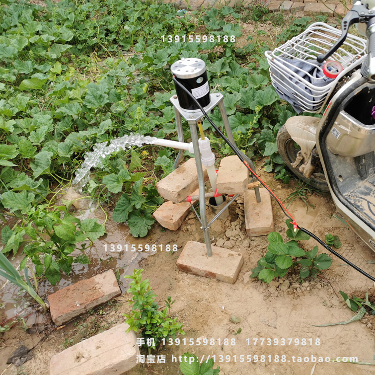 12v24v36v48v直流软轴泵抽水机