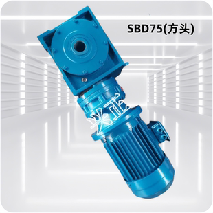 SBD75申克称专用减速机 DZXD75 ZCDG75圆头方头 厂家直销
