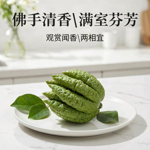 小佛手鲜果金佛手柑迷你小果 把玩闻香案头清供桌面观赏佛手果
