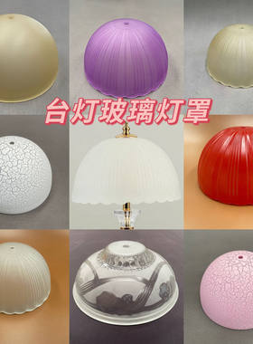 玻璃灯罩台灯磨砂复古灯