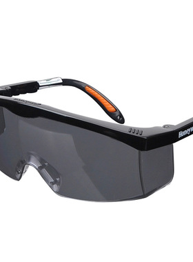 霍尼韦尔100111护目镜防冲击防尘防风沙劳保打磨防雾骑行防护眼镜