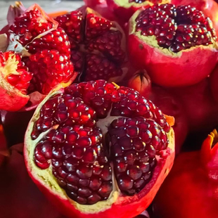 石榴树庭院果树石榴树苗树苗突尼斯软籽石榴树嫁接特大北方耐寒甜