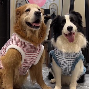 小香风中大型犬狗狗宠物衣服秋冬新款金毛拉布拉多加绒保暖背心潮