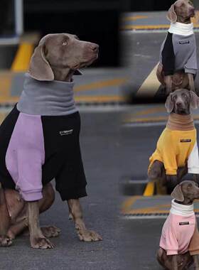 潮牌~狗狗加绒宠物衣服秋冬装新款保暖中大型犬金毛边牧拼色卫衣